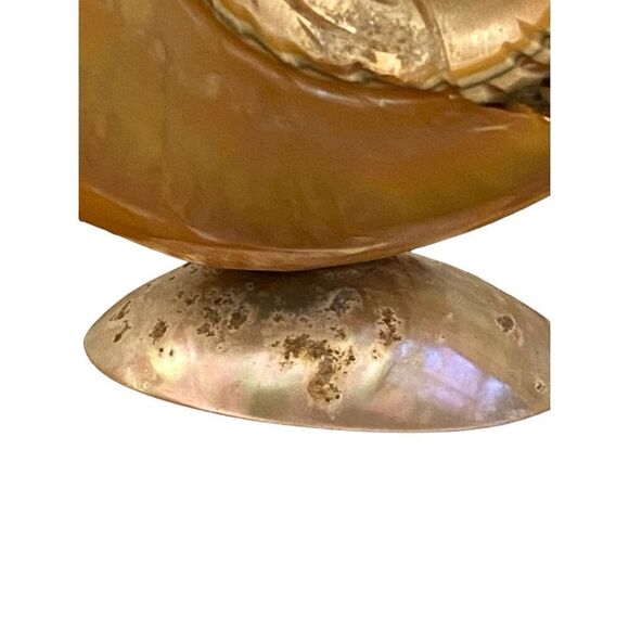 Victorian Hand Carved Conch Shell Basket Bowl Caviar  Dish Mother of Pearl Antiq - Picture 4 of 8